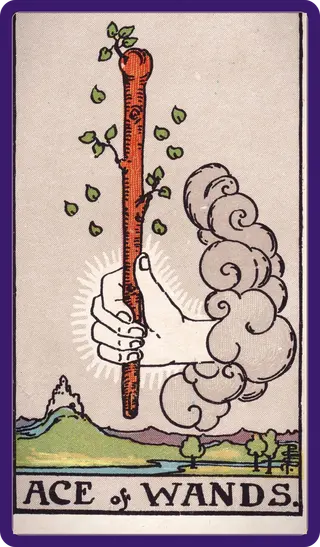 Ace of Wands